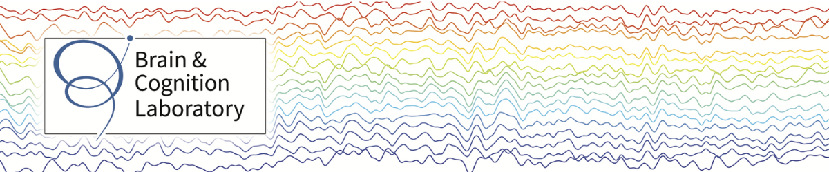 Brain and Cognition Lab